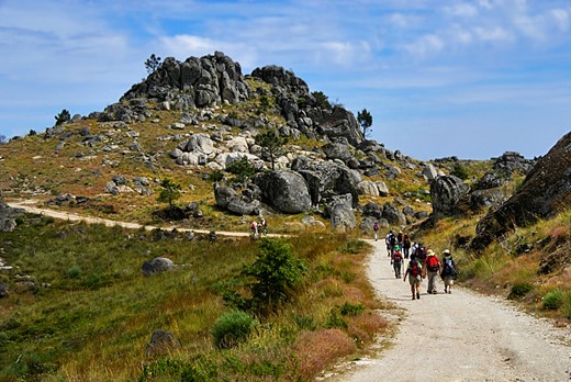 Projeto Montanha Viva